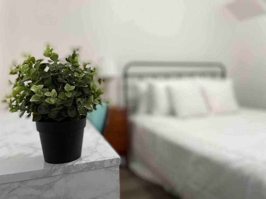 Apartamento Sleeps 3, Cozy, Boho Style, In The Heart Of -free Parking