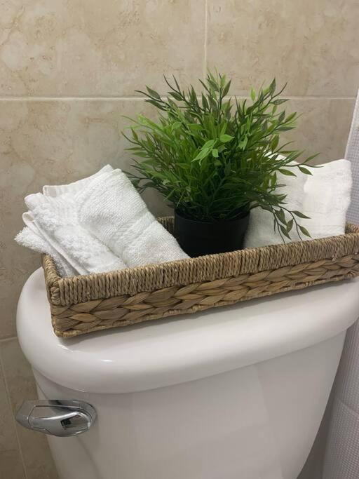Apartamento Sleeps 3, Cozy, Boho Style, In The Heart Of -free Parking *